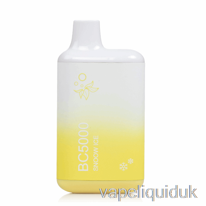 BC5000 Disposable Snoow Ice Vape Juice